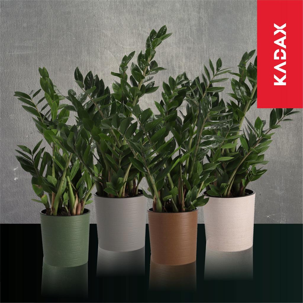 KADAX Doniczka Osłonka Donica misa Na Kwiaty  19cm