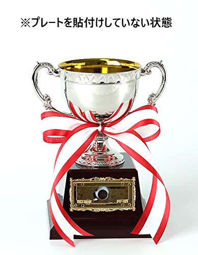 Metal Championship Cup AS-9110 [Free Plate Engraving] Available in 4 Sizes, Trophy, Award, Prize, Tournament, Souvenir, Ribbon (Size C, 15cm Tall)