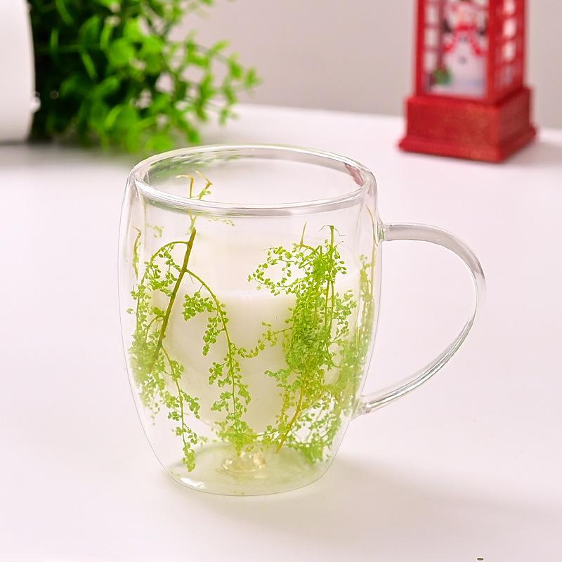Dried Flower High Borosilicate Double Wall Glass Mug Heat Resistant Coffee Cup