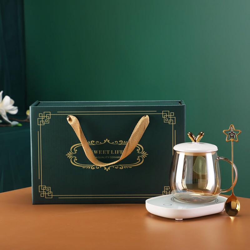 Zhi Shi 55-Degree Smart Constant Temperature Mug Set