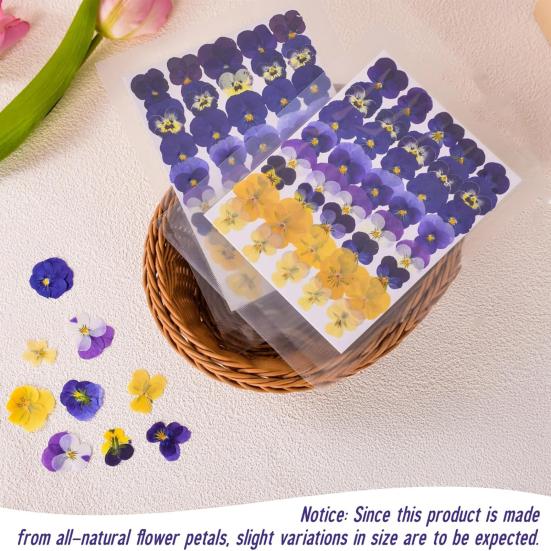 Yousheng 24 Buc. Flori Naturale Presate Uscate DIY Artă Meșteșuguri Topper Tort Decorare Cocktailuri Rășină Bijuterii Scrapbooking Semne de Carte Confecționare Colorat