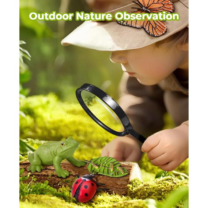 Life Cycle Learning Education Toys, Insect Caterpillar To Butterfly Kit, Ladybug, Bee, Tadpole To Frog Kit Life Cycle Toys for Kids, Preschool