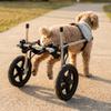 Breathable Dog Wheelchair Comfort Harness Disabled Pet Walking Aid  Disabled Pets