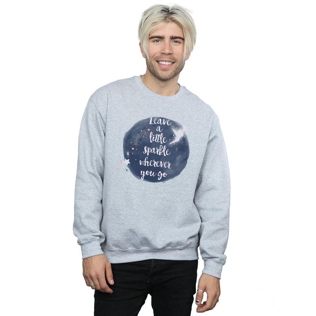 Disney Mens Tinker Bell A Little Sparkle Sweatshirt