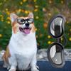 Adjustable Pet Sunglasses Clear Vision Cat Glasses Pet Eye Wear Protection  Photography Prop