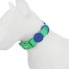 Candy Color Medium Dog Collar Fashion Cat Pet Collar For Puppy Small Dogs Leashes