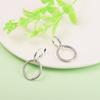 New Moments Charm Cercei cu cerc dublu Bijuterii din argint 925 Cercei nunta pentru femei ureche