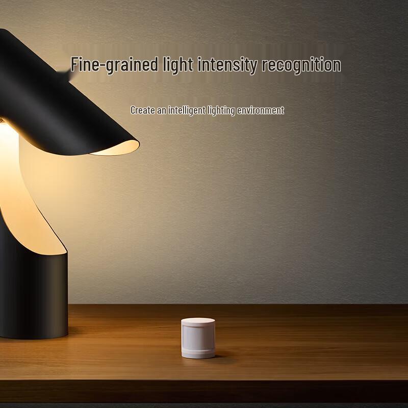 Xiaomi Mijia Human Body Sensor 2S