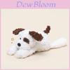 Morbido Peluche con Cotone PP per Regalo di Compleanno per Bambini