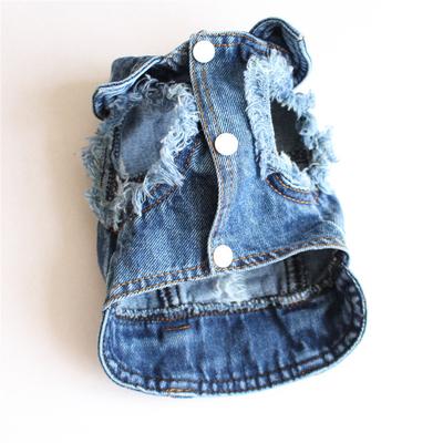 Buraco para pet barba borda jeans roupas para cachorro pequeno jaqueta primavera, outono e inverno explosão transfronteiriça
