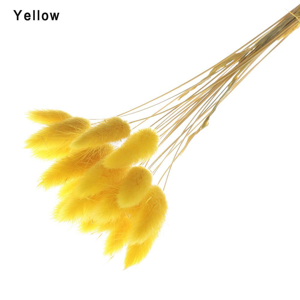 20 ks/svazek Přírodní sušené květiny Králičí ocas Umělé květiny Barevné falešné králičí ocásky Kytice Pastorační styl Foto Pr