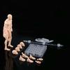 Joints Movable Male Femalew Body Dolls Handmade 1/18 Scale Model Doll  Computer Ornament