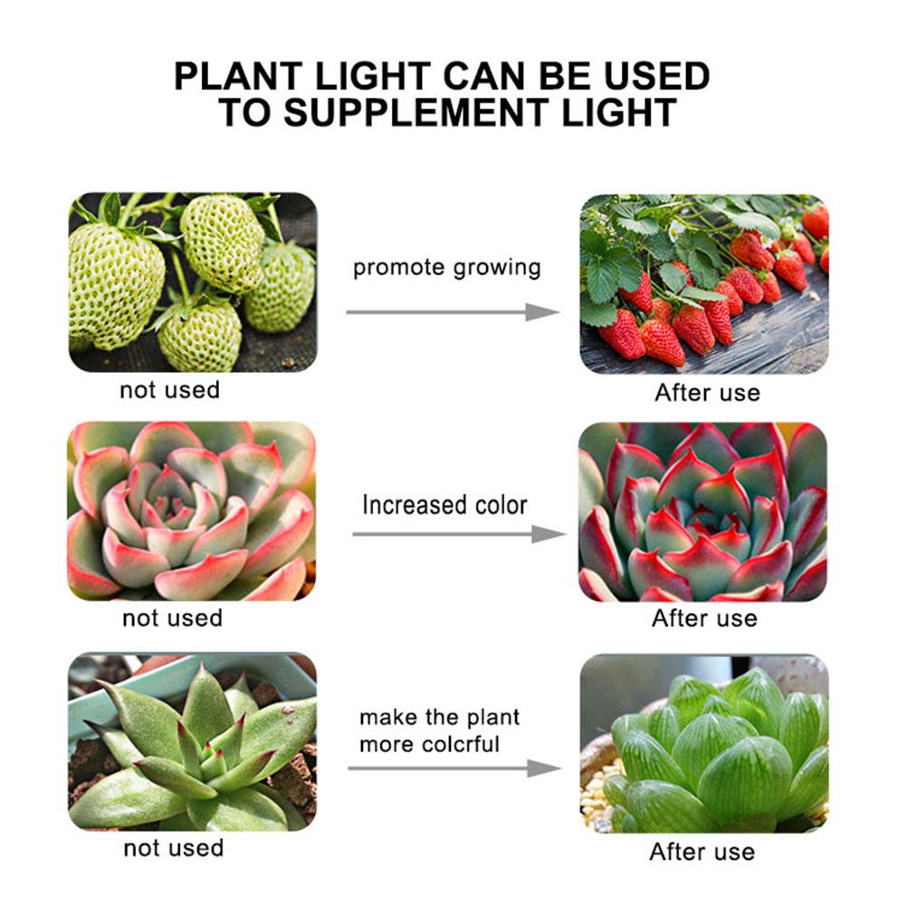 E27 Plant Growth Light Cup (80 beads)
