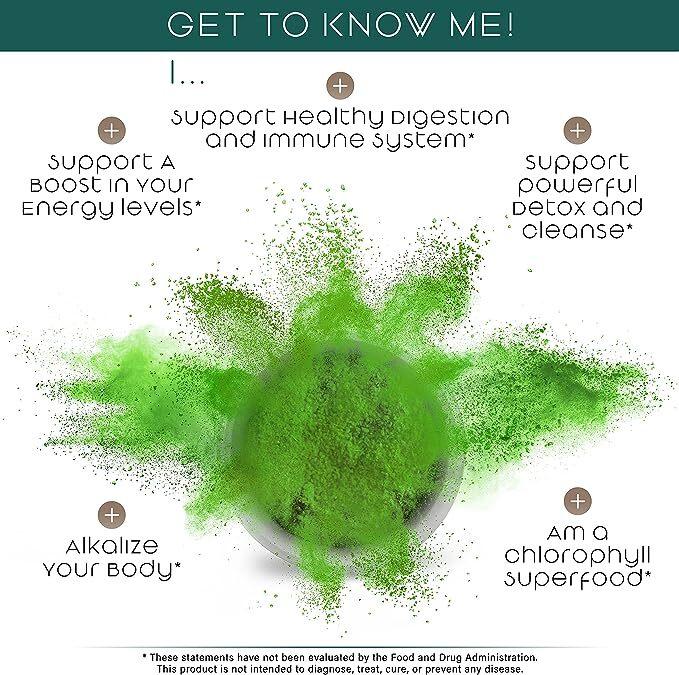 250g Organic Barley Grass Powder Blend Organic Powder SUPERFOODS HEALTH