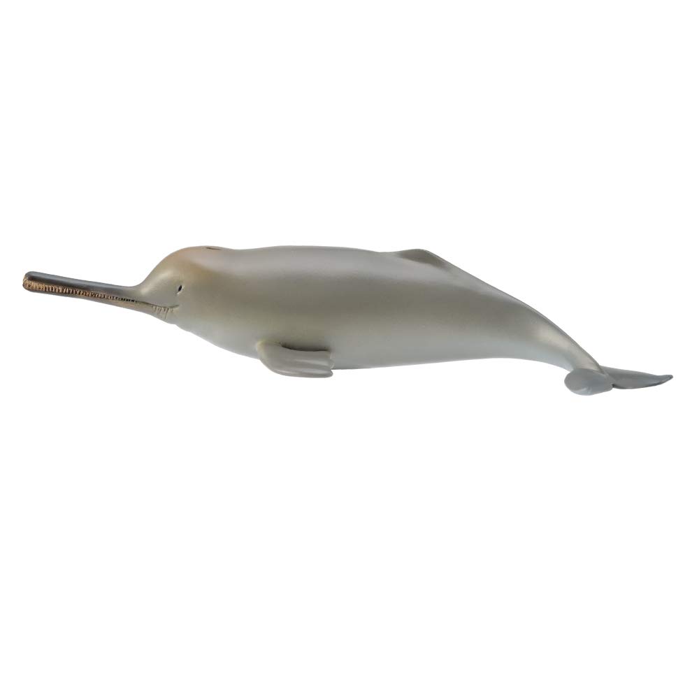 Collcta Ganges River Dolphin, 13 X 6.5 X 2.5 Cm, 88611, Hand-painted Animal Figurine