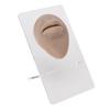 Simulated 3D Mouth Model Piercing Practice Silicone Mouth Model with Acrylic Stand for Jewelry Display Dark Skin Color
