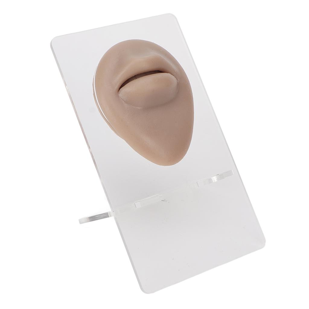 Simulated 3D Mouth Model Piercing Practice Silicone Mouth Model with Acrylic Stand for Jewelry Display Dark Skin Color