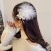 Daily Photo Props For Girl Hair Accessories Korean Style Hairpin Female Barrettes Feather Hair Clip