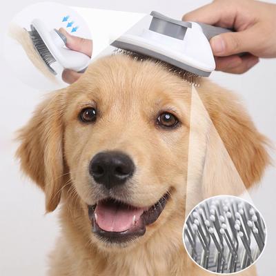 Cani – Prodotti per toelettatura cani