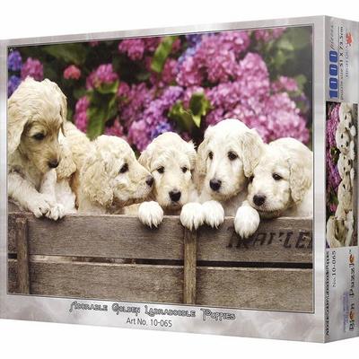 Skladačka BN Puppy Five Brothers, 1000 dielikov, Skladačka rôznych farieb, Detské Hry, Vzdelávacie Hračky