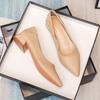 Thick Heel Low Heel Single Shoes Women's Spring and Autumn Style Temperament Pointed Work Shoes Are Not Tired Feet Shallow Mouth Middle Heel Commuting
