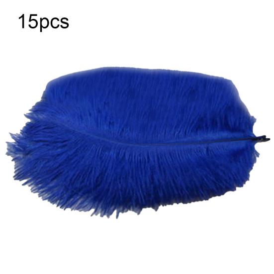 15 Pcs Natural Ostrich Feathers Colored Soft Feather for Clothes Wedding Decor