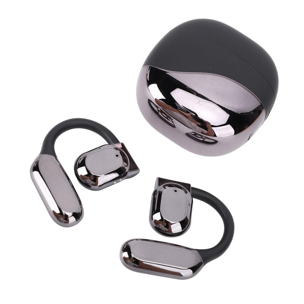 Translation Earbuds Earhook Active Noise Reduction Wireless   AI Language Translator Earbuds