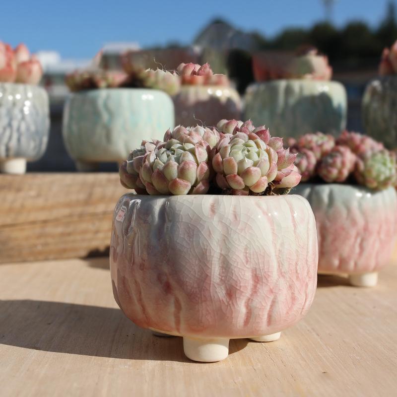 NEW Ceramic Flower Pot Creative Design Ice Cracked Glaze Succulent Pot Planter Small Flowerpot Home Hotel Ornament Decoration