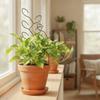 Vertical Growing Plant Support Frame Iron Climbing Vine Flower Stand  Garden Accessory