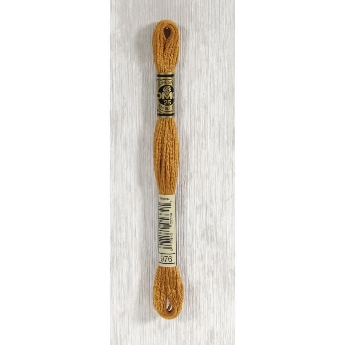 DMC Fil Mouliné 976