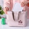 Lunch Box Insulated Bag, Hand-held Insulated Lunch Box Bag, Thickened Insulated Bento Bag, Student Large-capacity Aluminum Foil Bag with Rice Bag