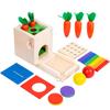 Montessori 4-in-1 Münzbox: Multifunktionaler Steckstab, Zieh-Rettich, Bausteine für die frühe Kindheit und Farbzuordnungs-Intelligenzspielzeug.