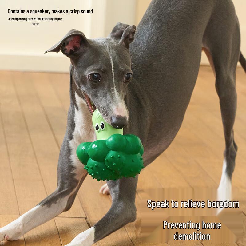 ZEZE Durable Dog Chewing and Squeaky Toy