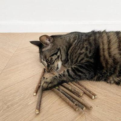Cat Matatabi Sticks 10-pack