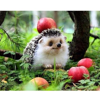 Full Drill 5D Diamond Painting Cute Hedgehog Cross Stitch Kits Embroidery Decors