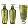 Schwarzkopf Ginger Purifying & Oil Control Shampoo 400ml