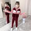 Girls' Winter 3-Piece Set: Sweatshirt, Pants, Vest - Thickened for 2025 Autumn/Winter. Suitable for Middle and Big Kids.