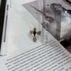 Silver Ring with Cubic Zirconia, Product Weight 5.39 G (2175643)