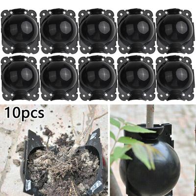 Grafting Box 10Pcs Plant Rooting High Pressure Propagation Ball High Quality
