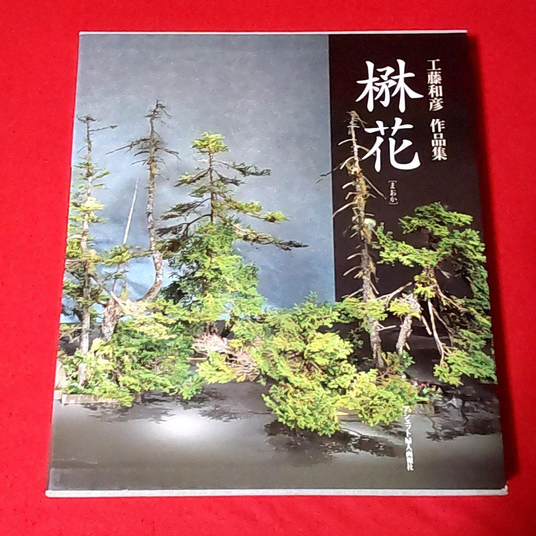 

[USED] Kazuhiko Kudo s Works Collection, Maoka, Ohara School, Ikebana Works Collection, Fresh Flowers, Ikebana