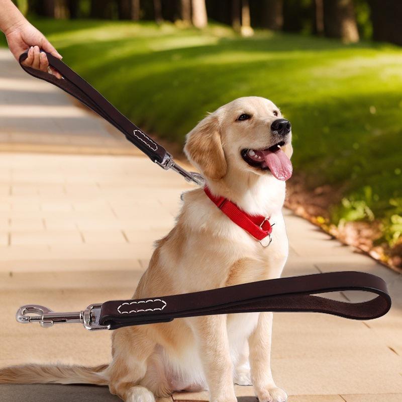 Genuine Leather Cowhide Dog Leash for Medium/Large Breeds - Retriever, Collie, Bulldog, Husky