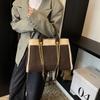 Niche High-texture Versatile Plush Handbag 2025 Autumn and Winter New Retro Lamb Wool Large-capacity Shoulder Bag