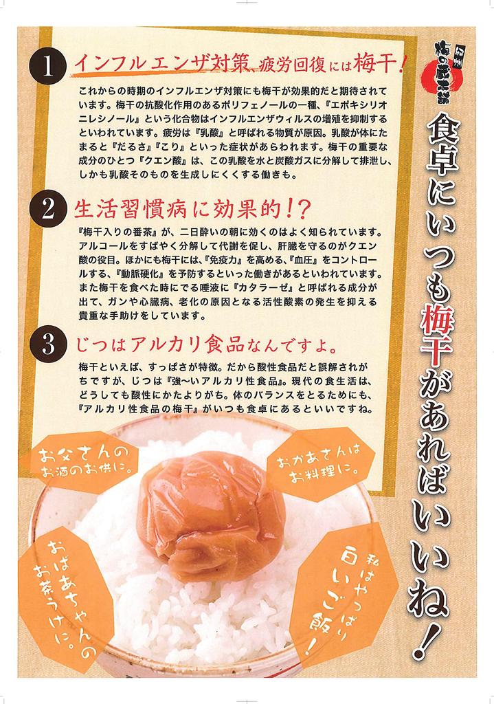 Kishu Ume no Kura Honpo Umeboshi Kishu Nanko White Dried Ume Crushed 400g 15% Salt Only