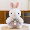 Xiaoxiangfeng Sitting Rabbit Plush Toy Cute Princess Dress Little Rabbit Rag Doll Girl Gift