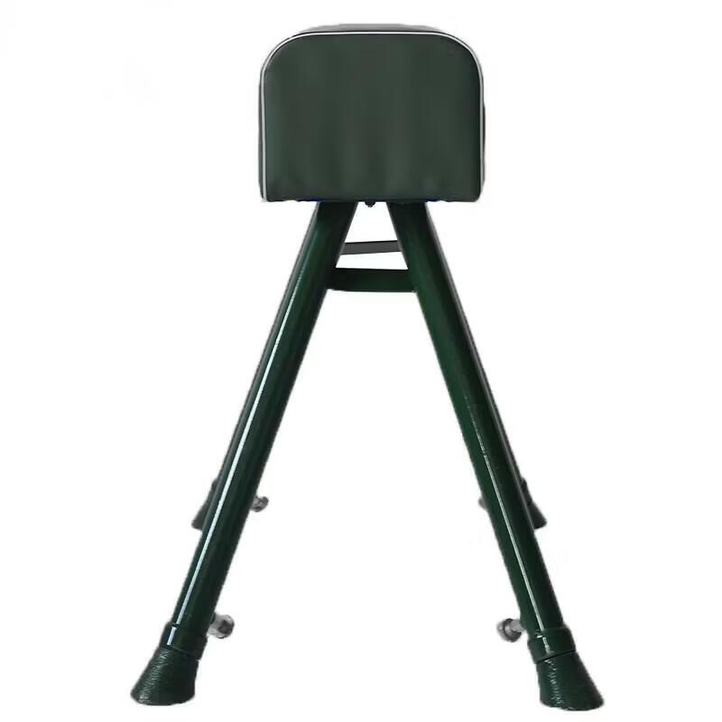 Bingtu Gymnastic Vaulting Buck