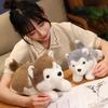 30/40/50cm Cuscino Cane Cucciolo Husky Carino Peluche Simpatico Animale Bambola di Peluche Decorazione Casa Regalo di Compleanno per Bambino