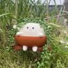Swing Face Planter Pot Swinging Plant Pot Smiling Outdoor Plants Succulent Pot Cute Smile Face for String of Pearls Succulents