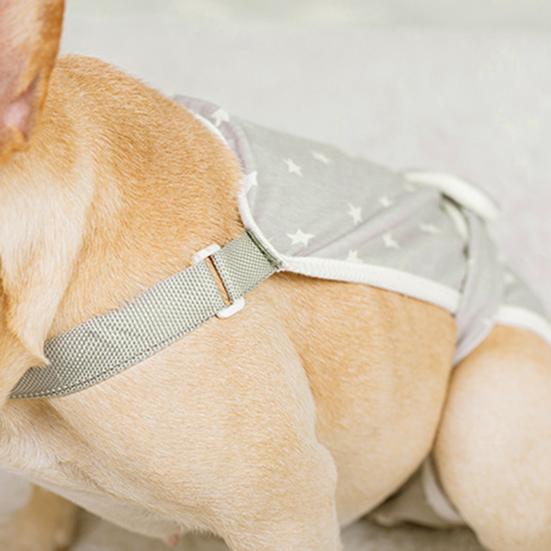 Pet Short Pants Printing Design Health Care Washable Dog Diaper Pet Physiological Pants for Female Dogs