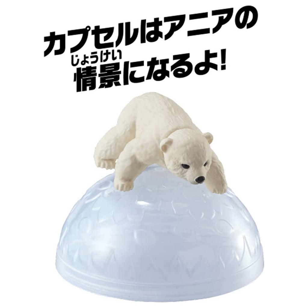 Takara Tomy Ania Polar Bear Animal Dinosaur Toy for Ages 3 and Up AC-10 (Children's)