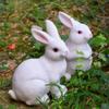 2Pcs Realistic White Rabbit Garden Statues, Weatherproof Resin Bunny Sculpture for Yard Patio, Cute Animal Bonsai Ornament, Desk Decor Gift for Plant